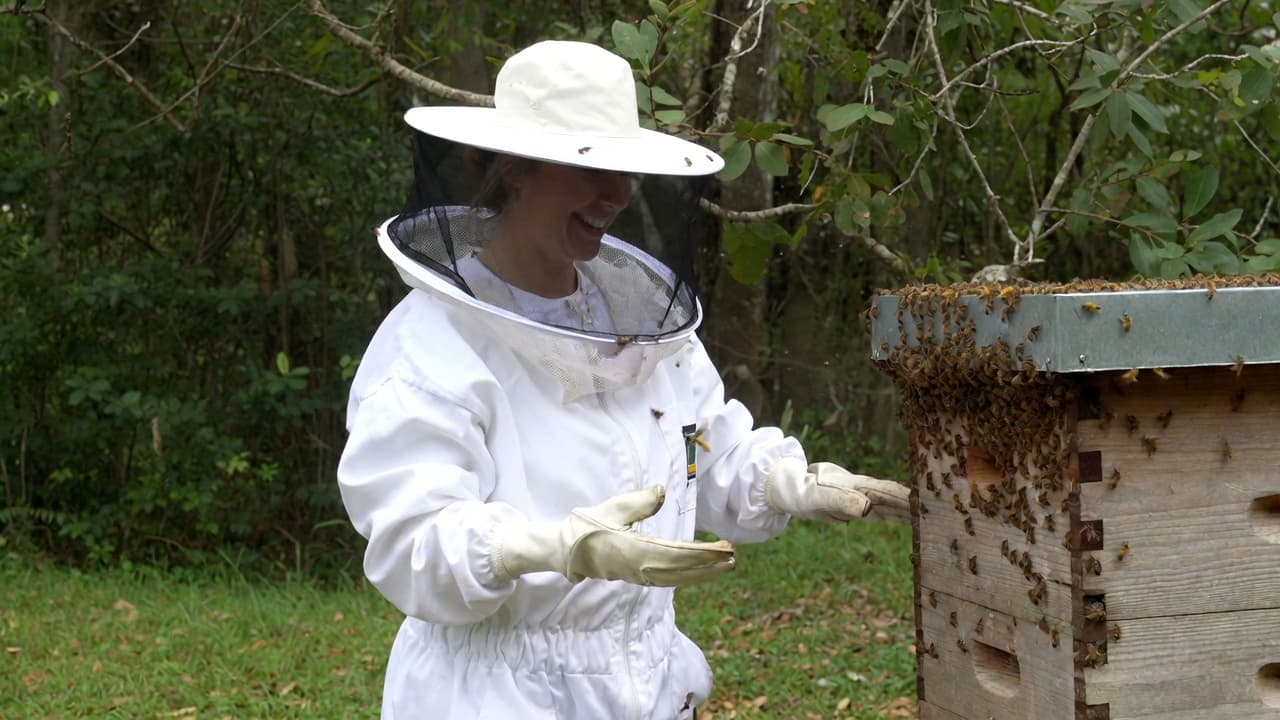 Raw beeswax beside a finished herbal balm jar — why beeswax is the ideal balm base